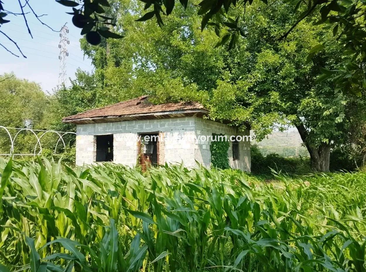 Dalamanda Satılık Ucuz Yatırıma Uygun Arsa