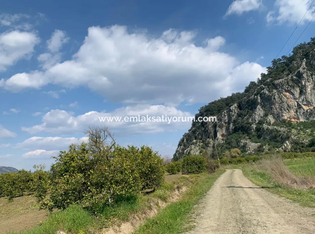 Muğla Dalyan Marmarlıda 1500 M2 Arsa Satılık
