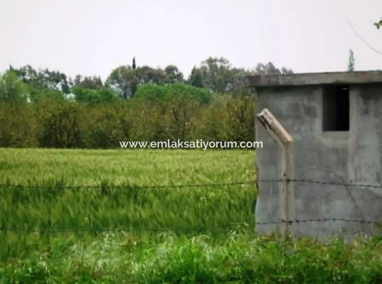 Muğla Ortaca Fevziye De 8 000 M2 Verimli Satılık Arazi