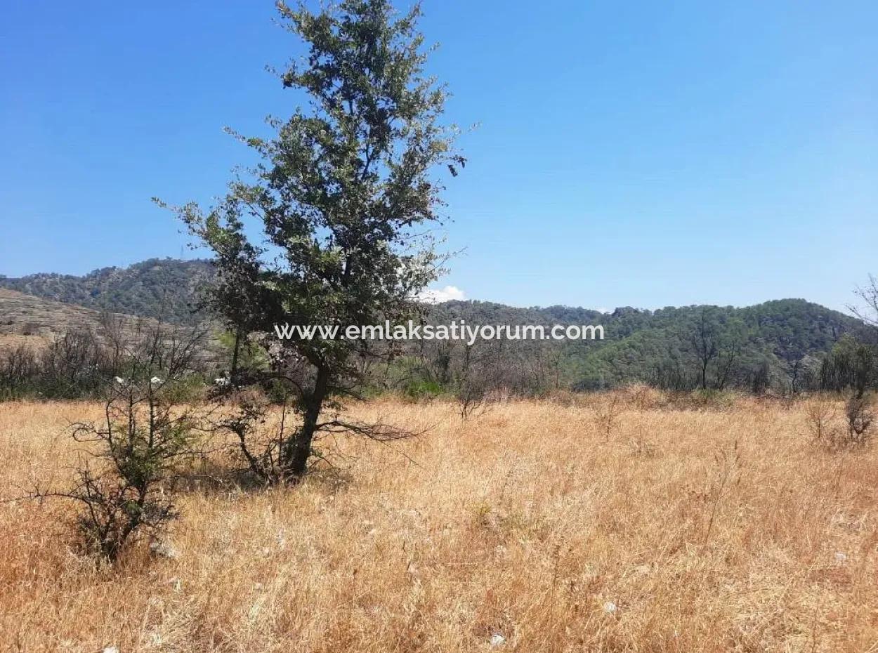 Muğla Dalamanda 42.432M2 Müstakil Tapulu Arazi Satılık