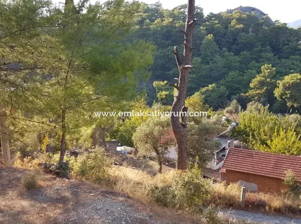 Ortaca Gökbel De  2 500 M2 Müstakil Kelepir Arazi Satılık