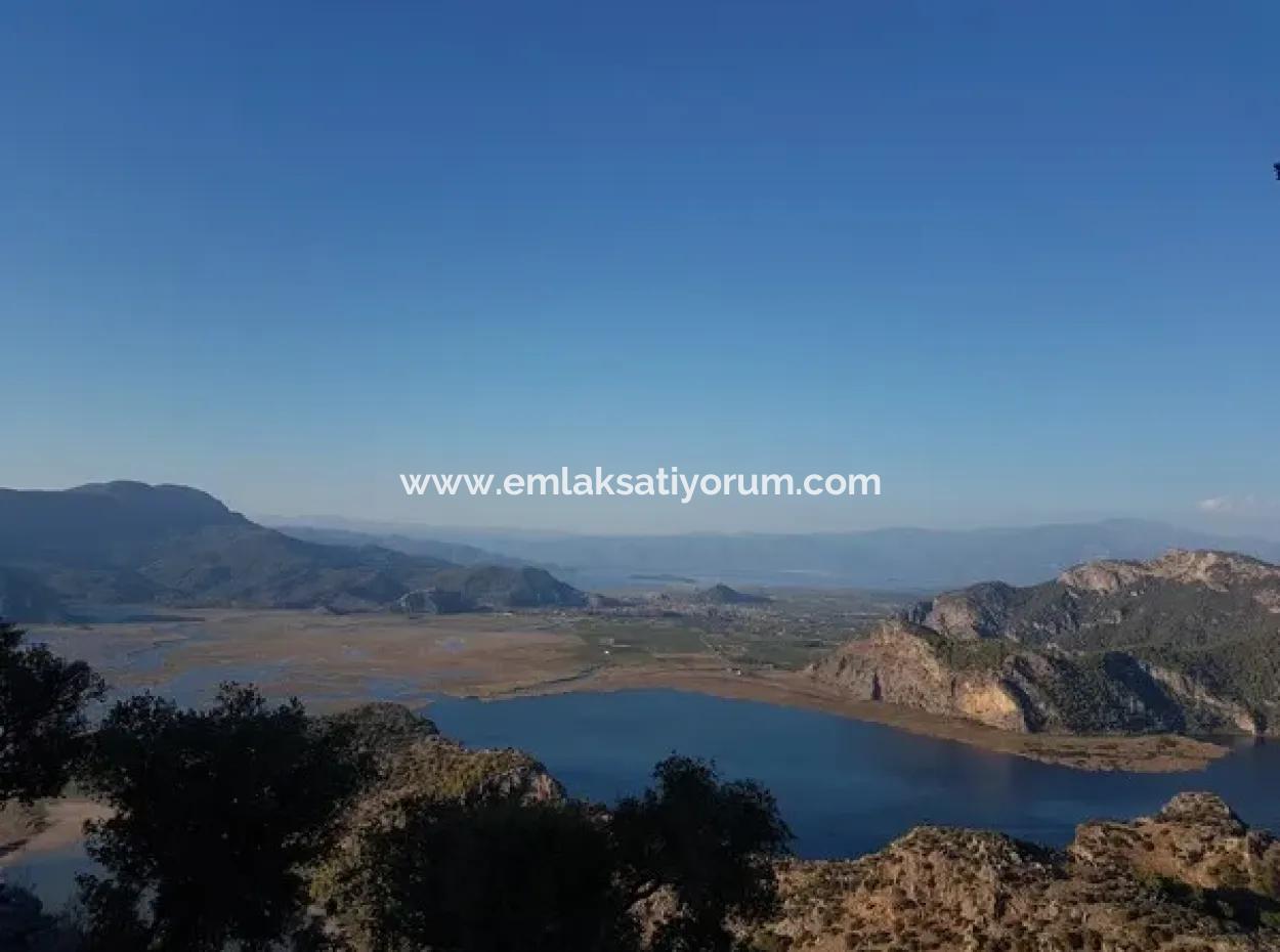 Ortaca Gökbel De  2 500 M2 Müstakil Kelepir Arazi Satılık