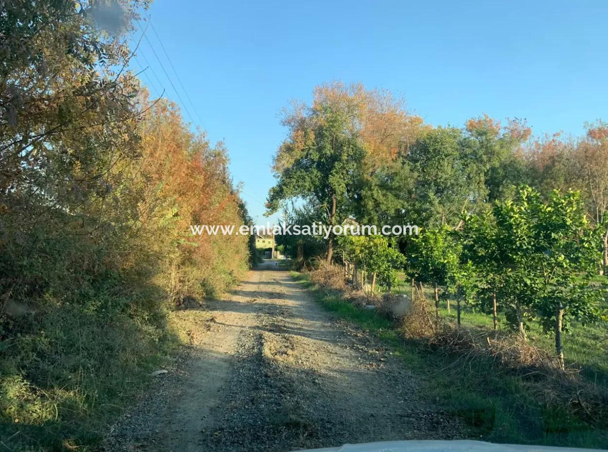 Ortaca Güzelyurt Da Kelepir 28.394 M2 Nin 3000 M2 Si Tarla Satılık