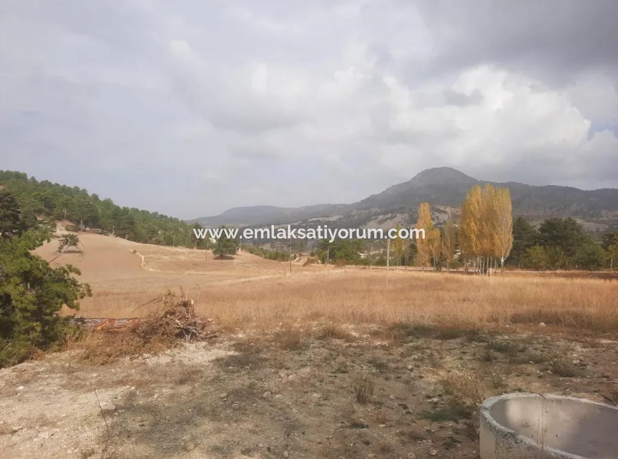 Çameli Cumaalanında  Kiralık 6 230 M2 Verimli Arazi