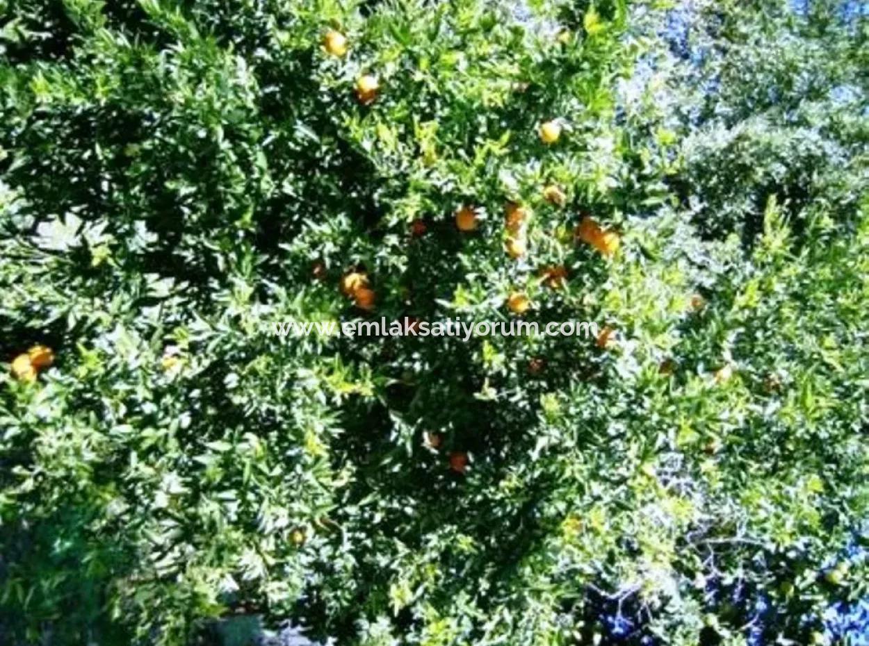 Okçular Da Satılık Ucuz Arsa