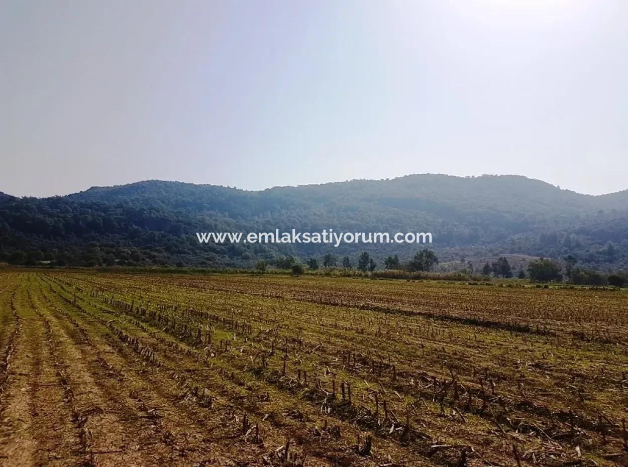 Güzelyurtta Kiralık Verimli Arazi