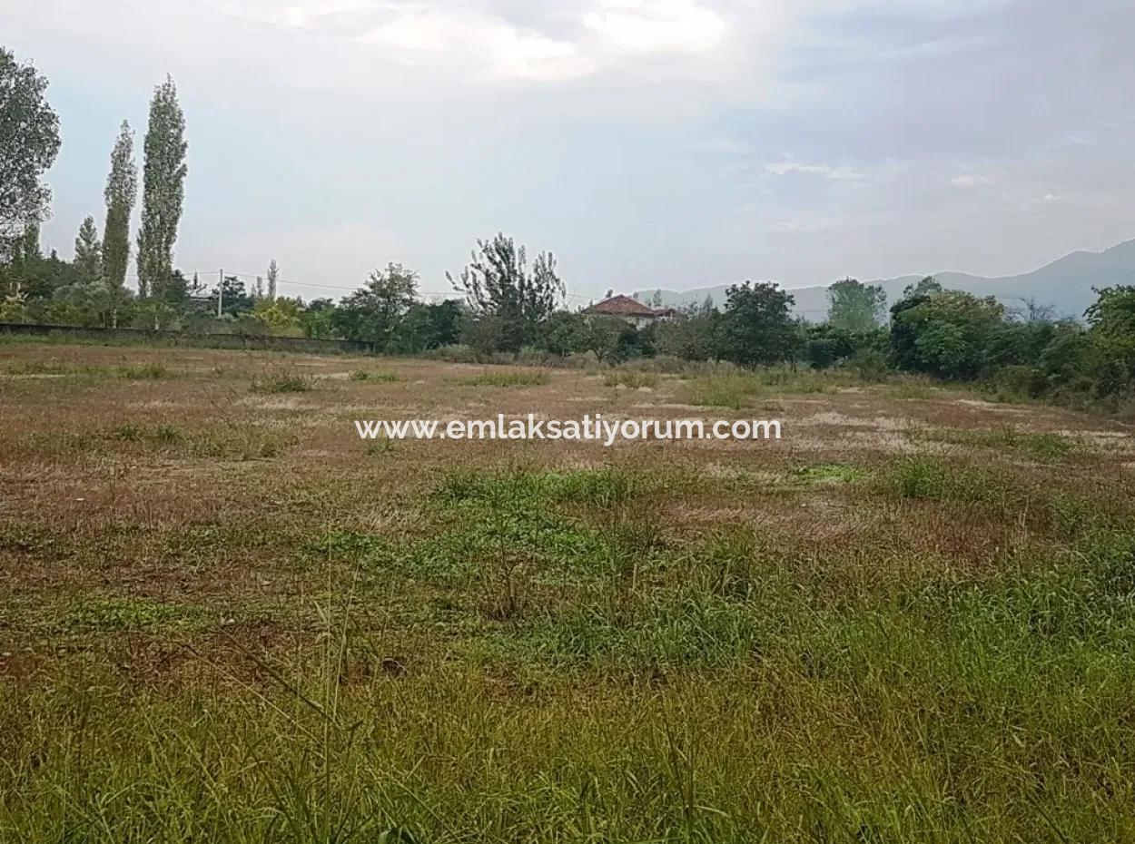 Yangıda Satılık Yatırıma Uygun Arazi