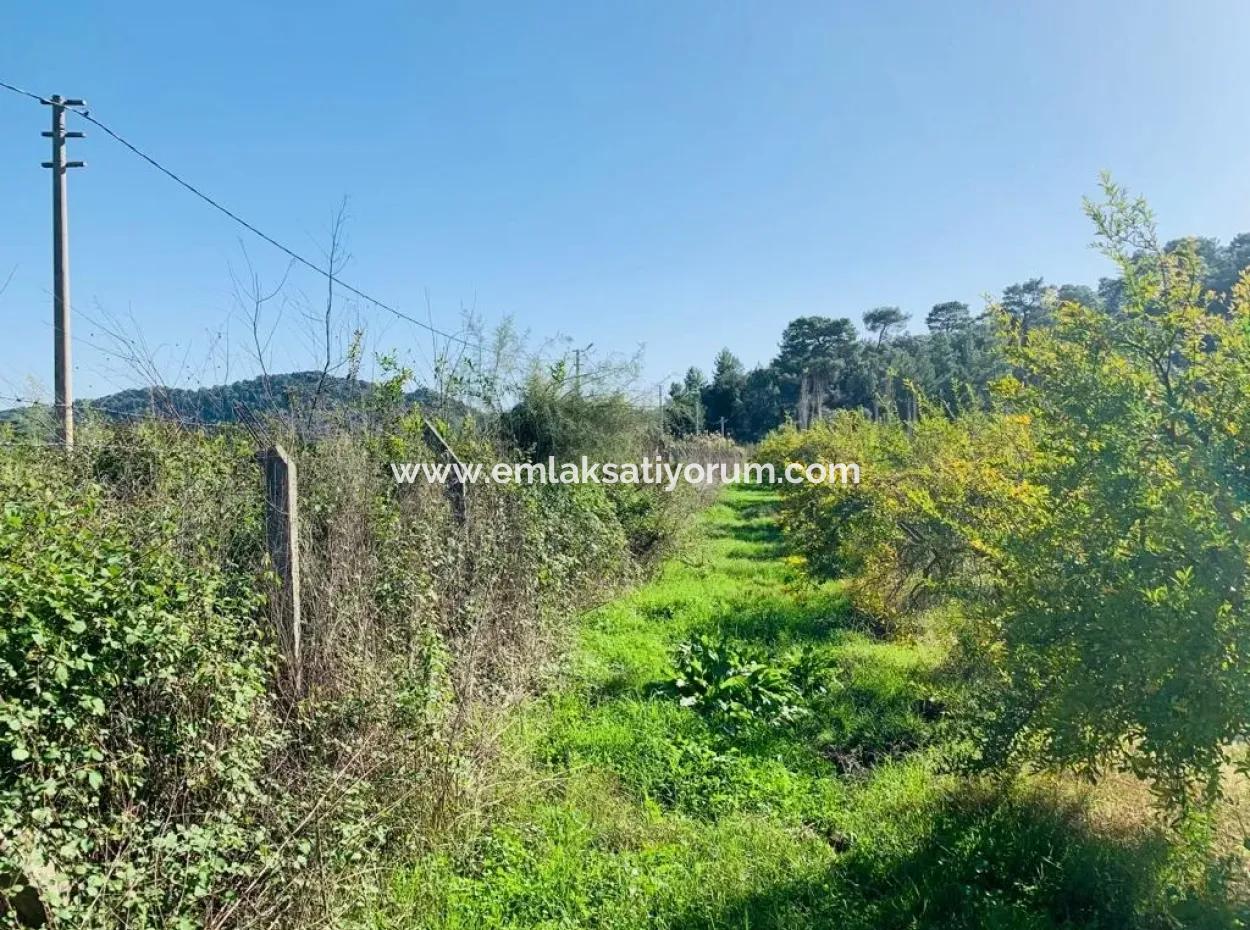 Mergenli De Satılık İmarlı Arsa