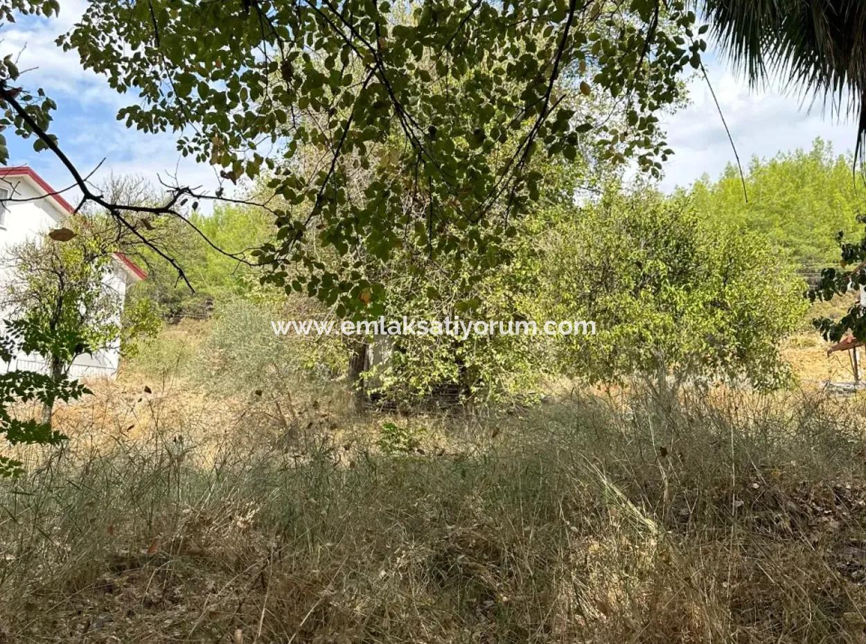 Köyceğiz De 1026 M2 Arsa Satılık