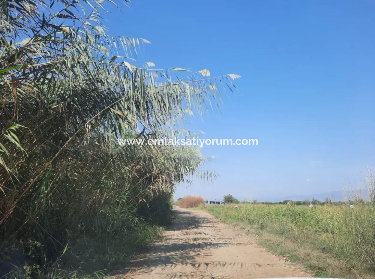 Köyceğiz Kavakarasında 2 650 M2 Verimli Arazi Satılık