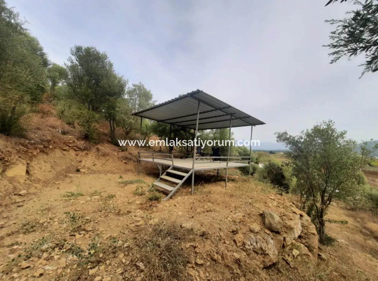 Eskiköyde 2 500 M2 Hazine Arazisi Zilliyet Hakkı Devir Edilecek Veya  Araç Takas Olur