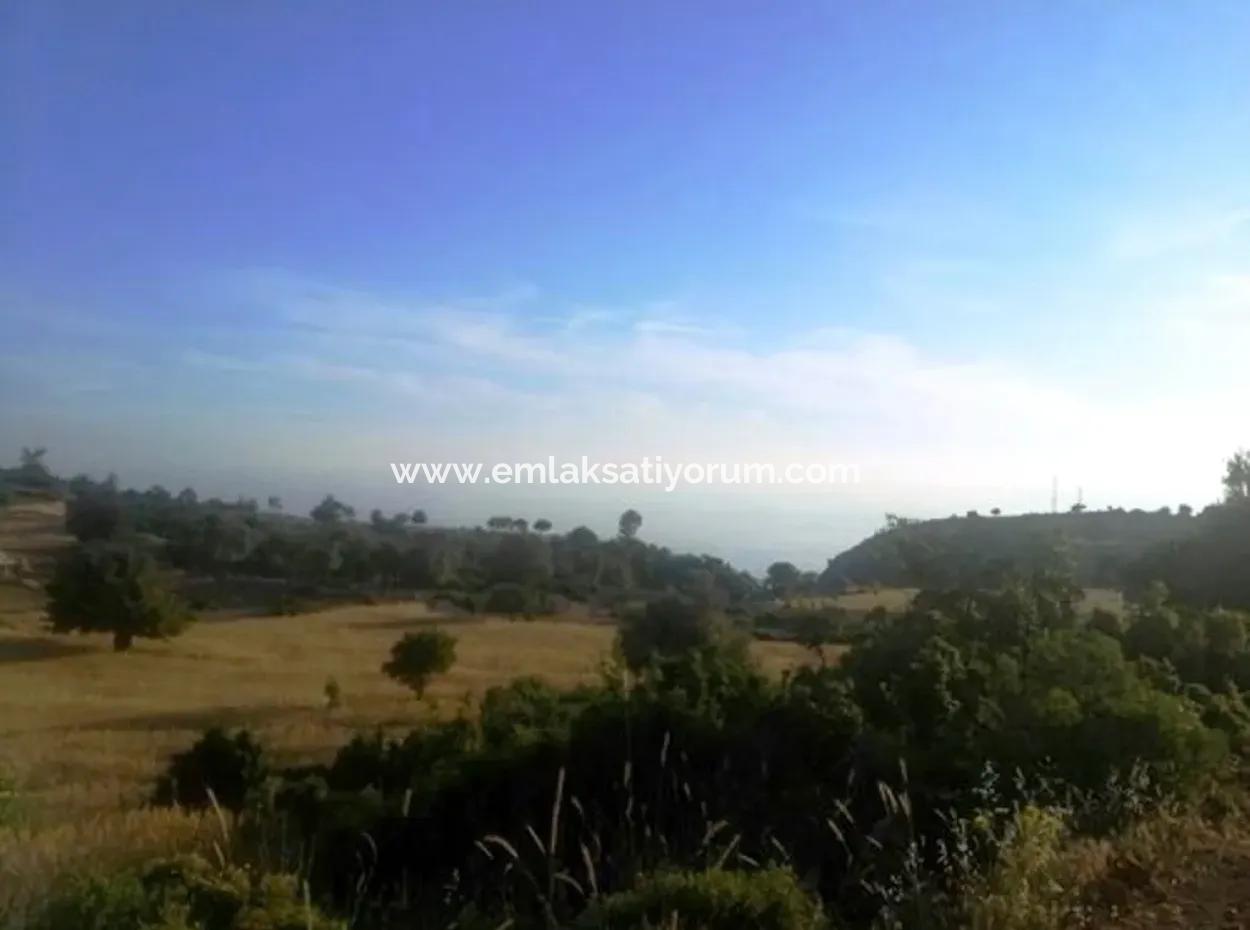 Seydikemer Boğaziçinde Satılık Deniz Manzaralı Arazi