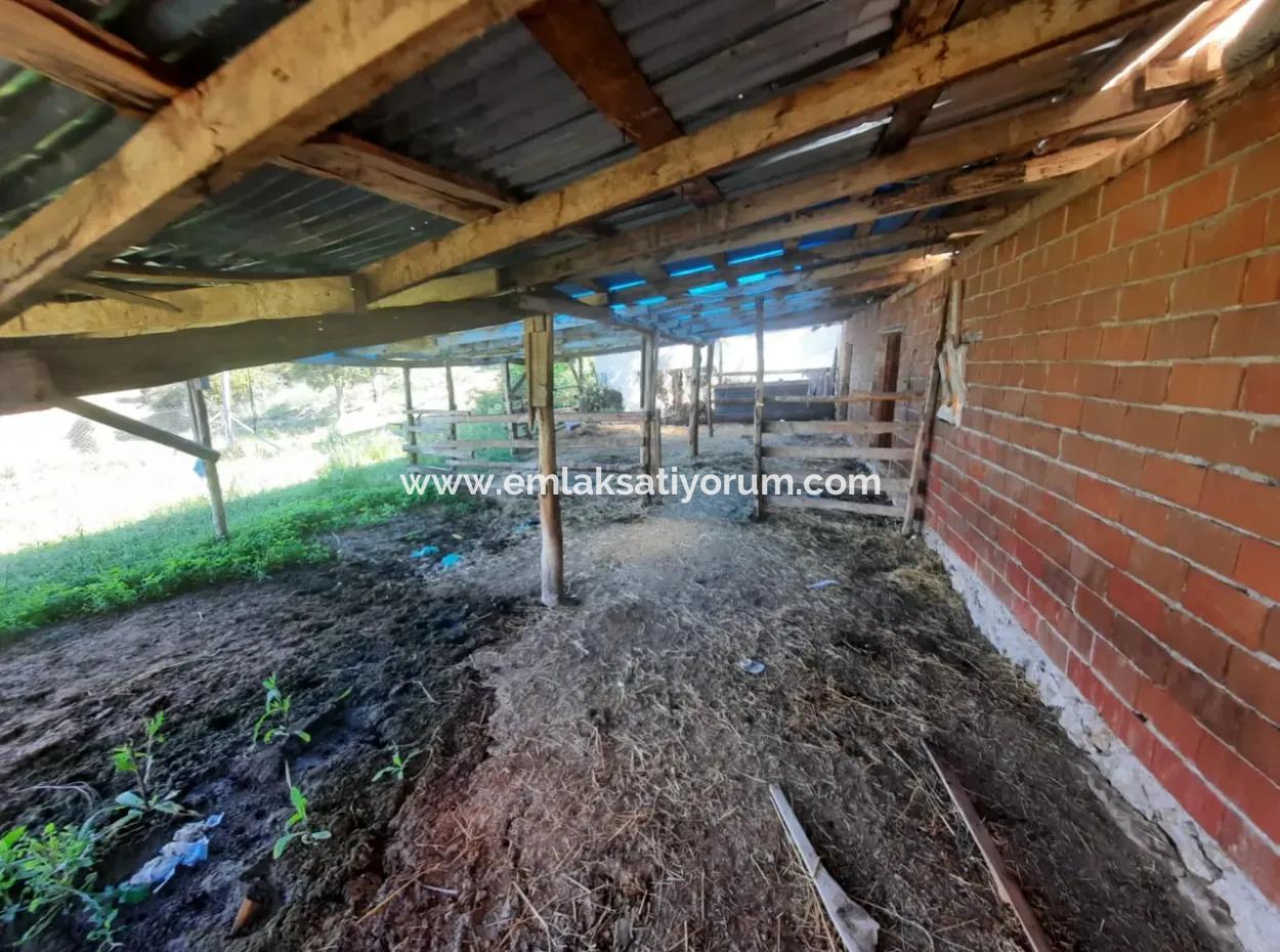 Çameli Kızılyaka Da 5 000 M2 Arazide 2+1 Müstakil Ev, Ve Ahır Kiralık