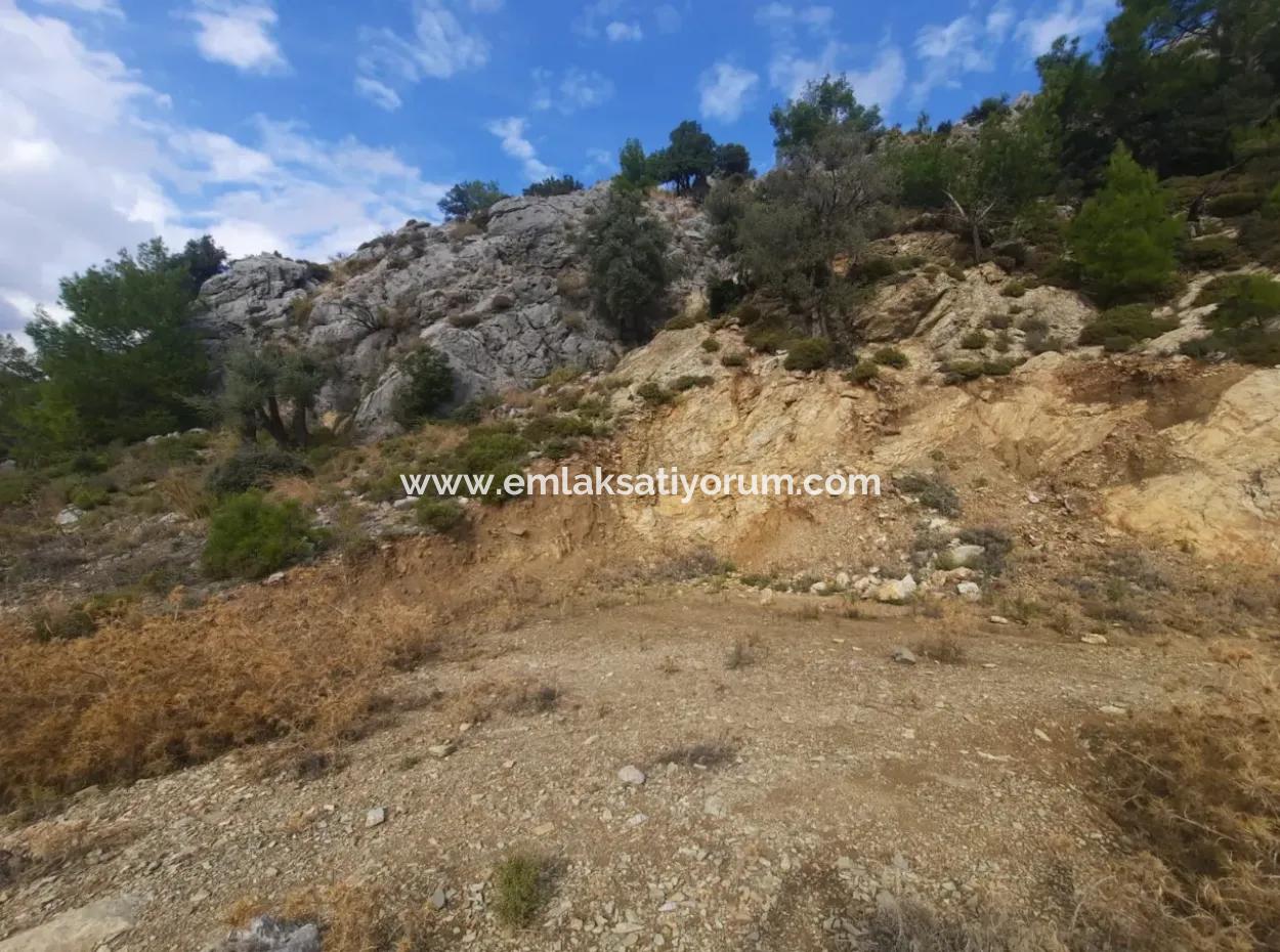 Muğla Dalyan Gökbelde  7 270 M2 Müstakil Tapulu Deniz Ve Göl Manzaralı Arazi Satılık