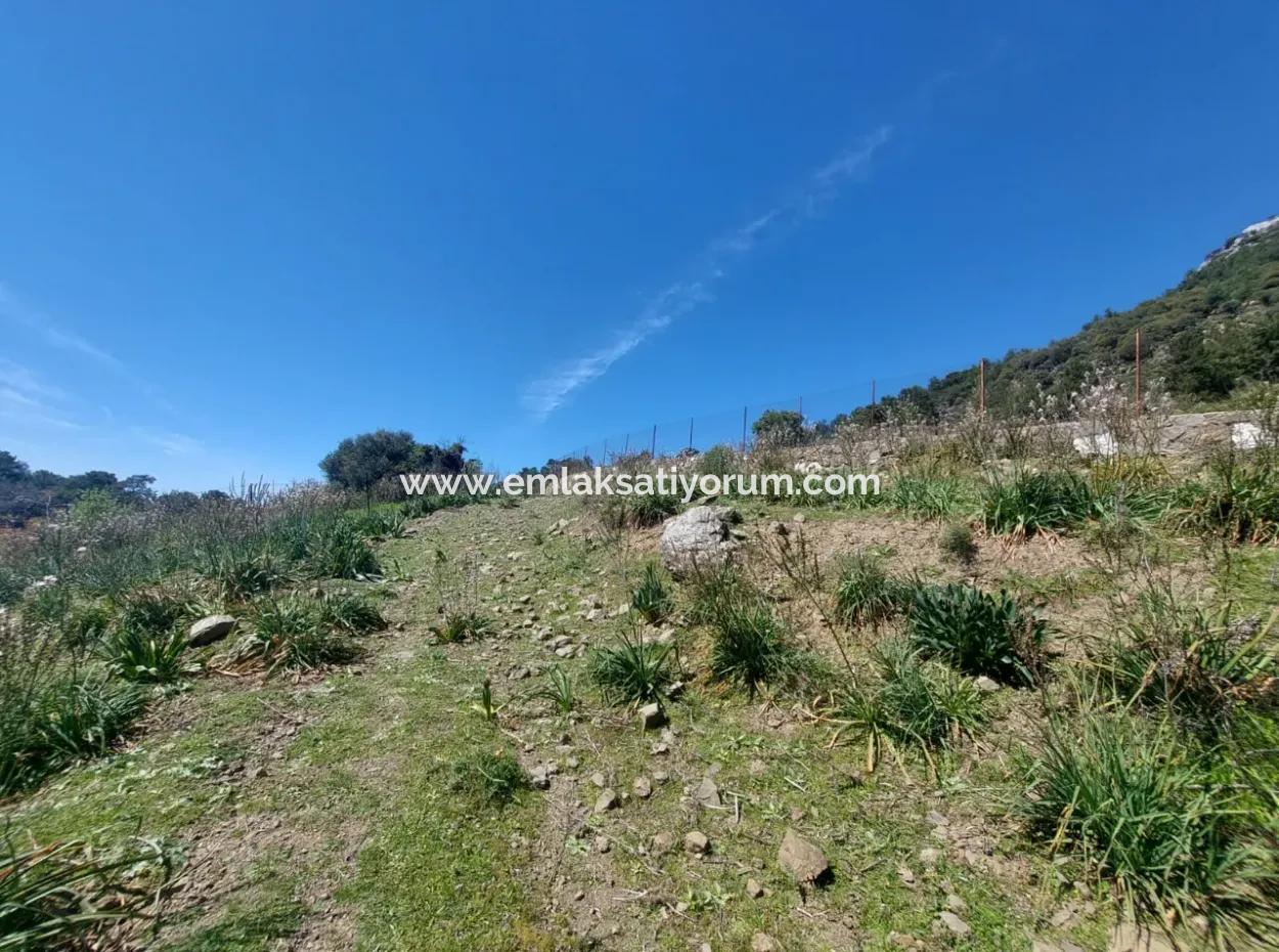 Ortaca Gökbelde  Müstakil 12 132M2 Doğa İçinde Kelepir Arazi Satılık