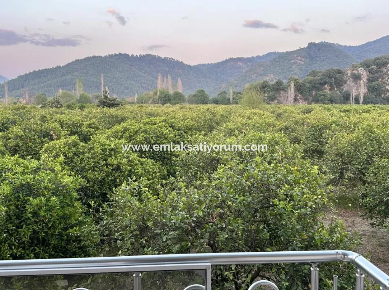 Ortaca Okçular Da 3+1 Daire Kiralık