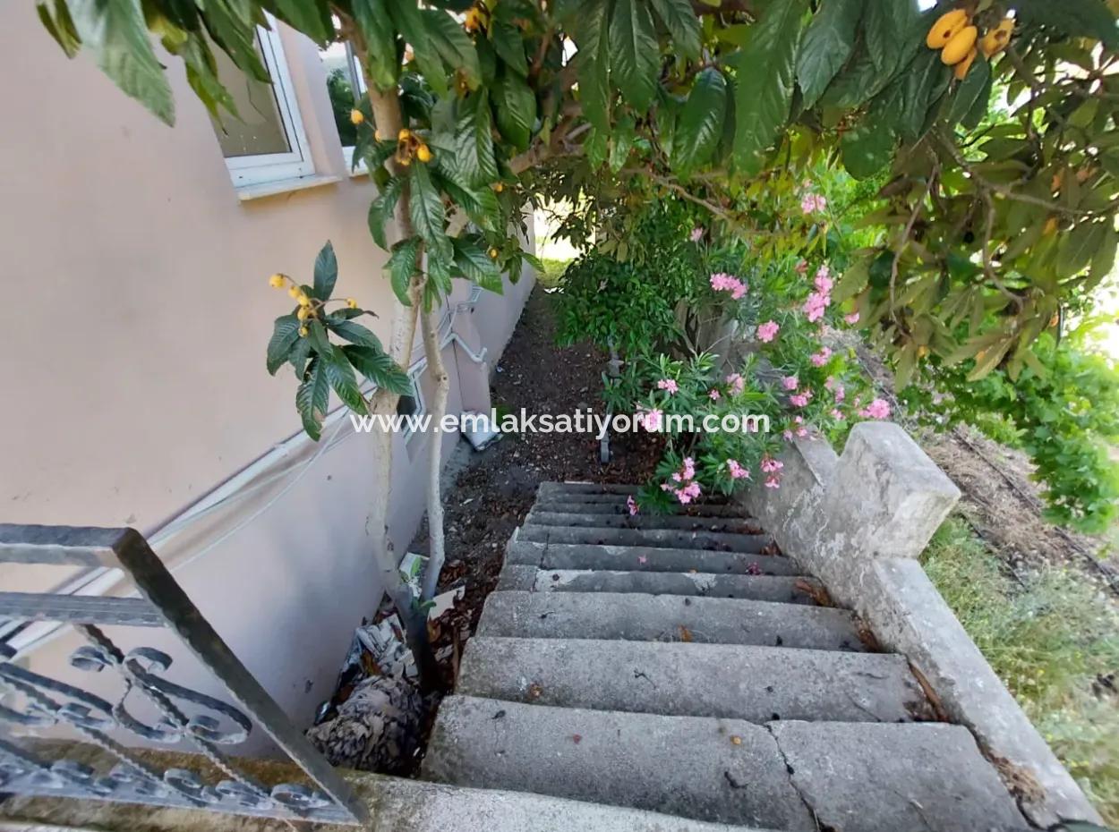 Ortaca - Dalyan Anayoluna Sıfır Dükkan Ve Müstakil Bina Satılık