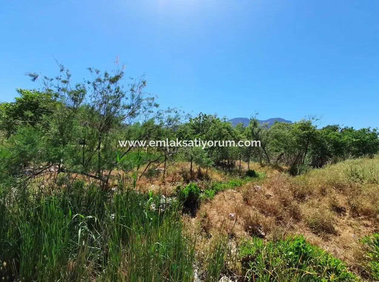 Muğla Ortaca Dalyanda Kanala Sıfır 6 500 M2 Hisseli Tapulu Arazi Satılık