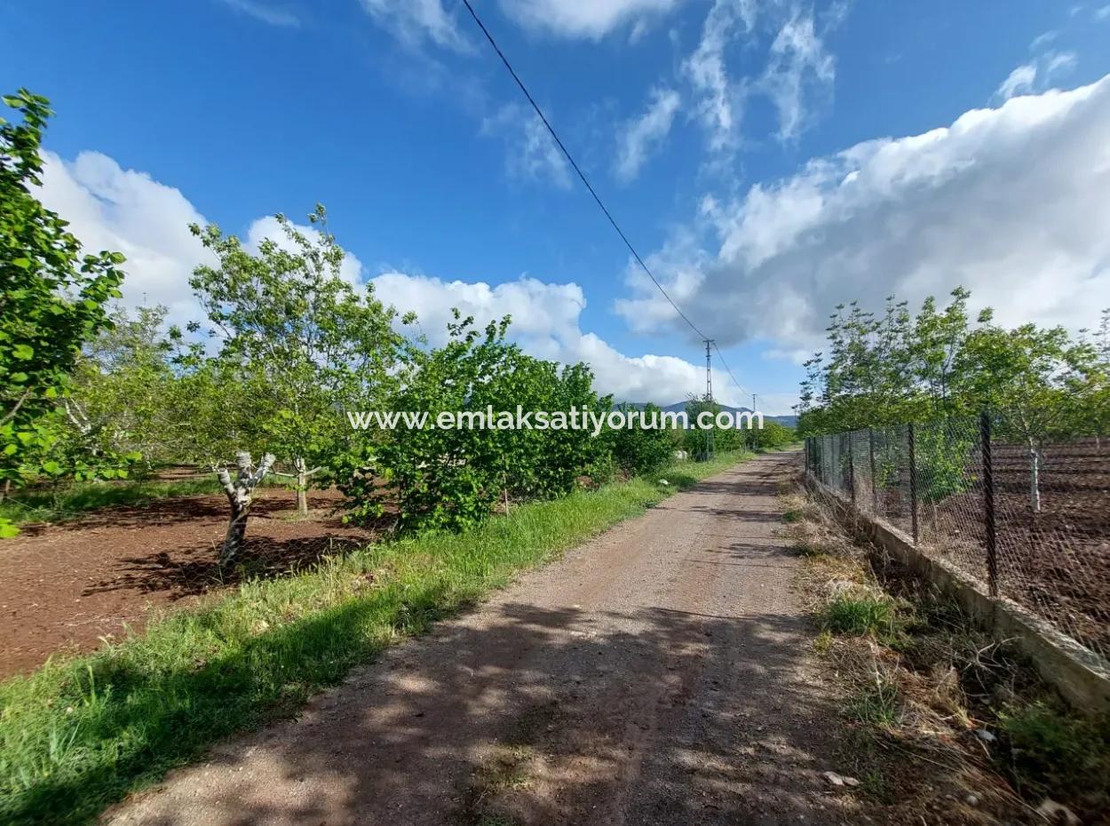 Çameli Kızılyakada  1000 M2 Arazi, Satılık Veya Ortacadan 2+1 Daire İle Takas