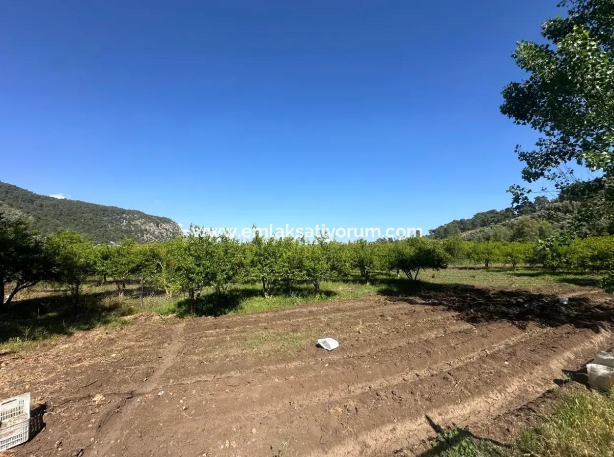 Ortaca Mergenlide Dağ Kenarında, 1 700 M2 İmarlı Kelepir Arsa Satılık