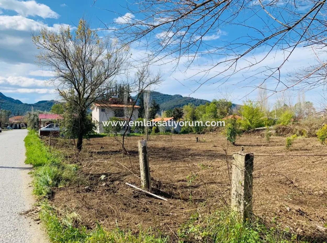 Dalyan Okçularda 734 M2 2 Parsel Arsa Satılık