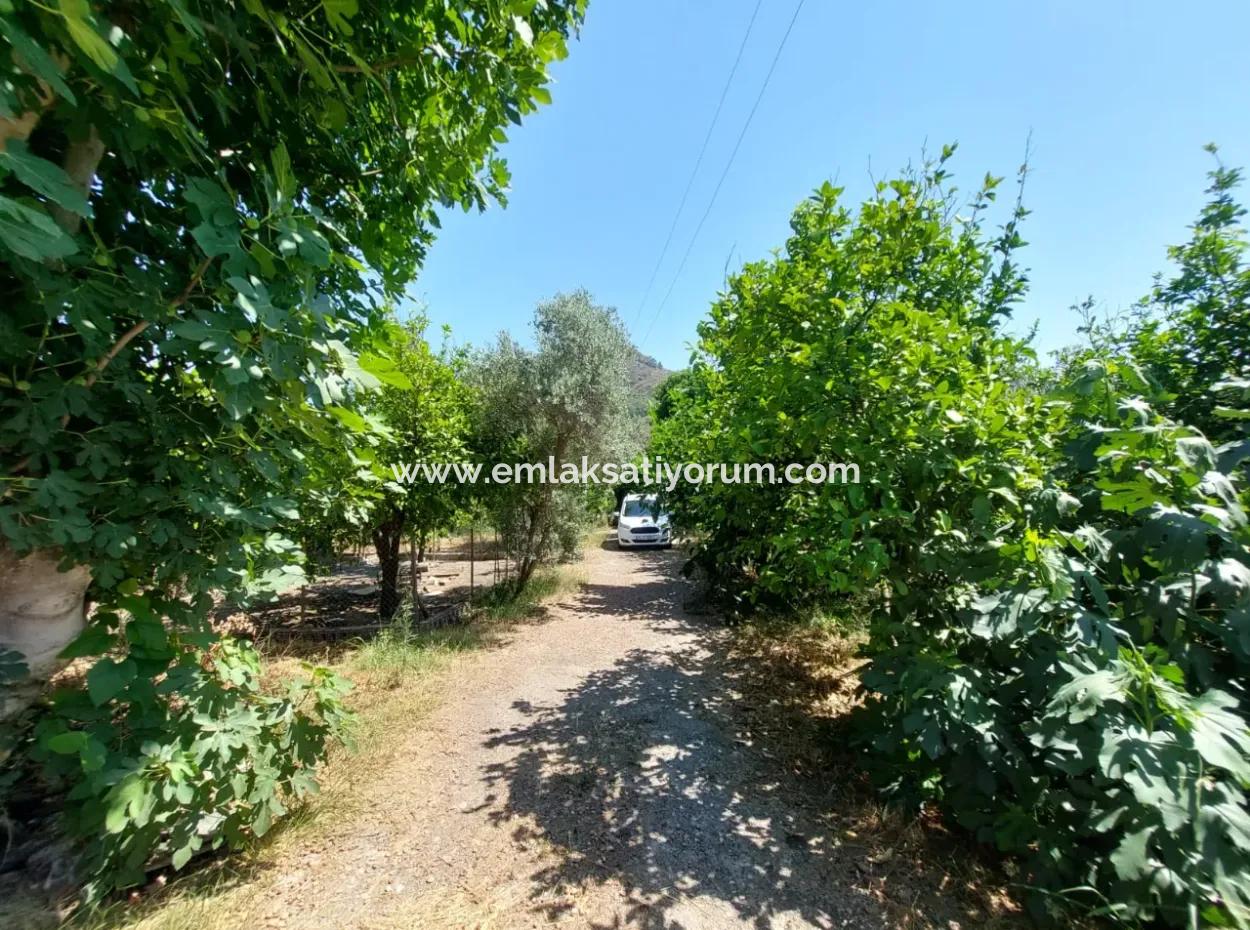 Muğla Ortaca Ekşiliyurt Ta 4 600 M2 Arazide Tek Katlı Müstakil 2+1 Köy Ev Kiralık