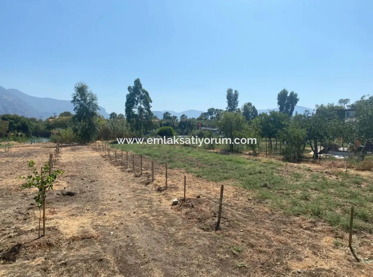 Köyceğiz Çandır Dalyan Kanalına Sıfır 3210 M2 Arazi Satılık