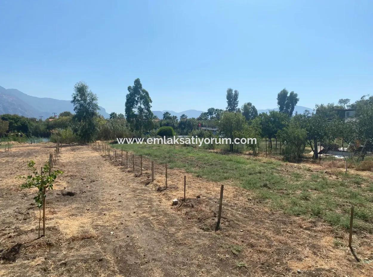 Köyceğiz Çandır Dalyan Kanalına Sıfır 3210 M2 Arazi Satılık