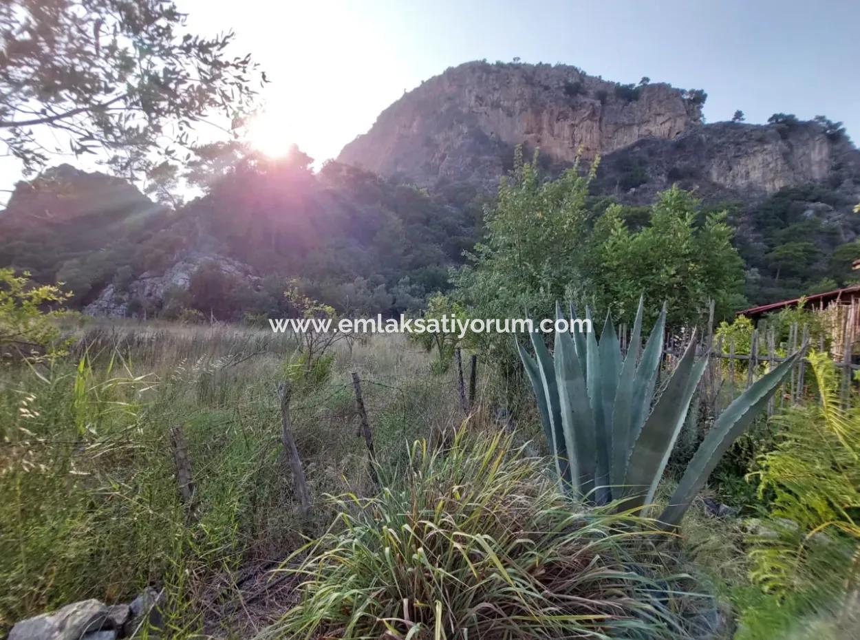 Köyceğiz Çandırda Dalyan Kanalına Yakın 15 000 M2 Müstakil Arazide Tek Katlı Ev Satılık