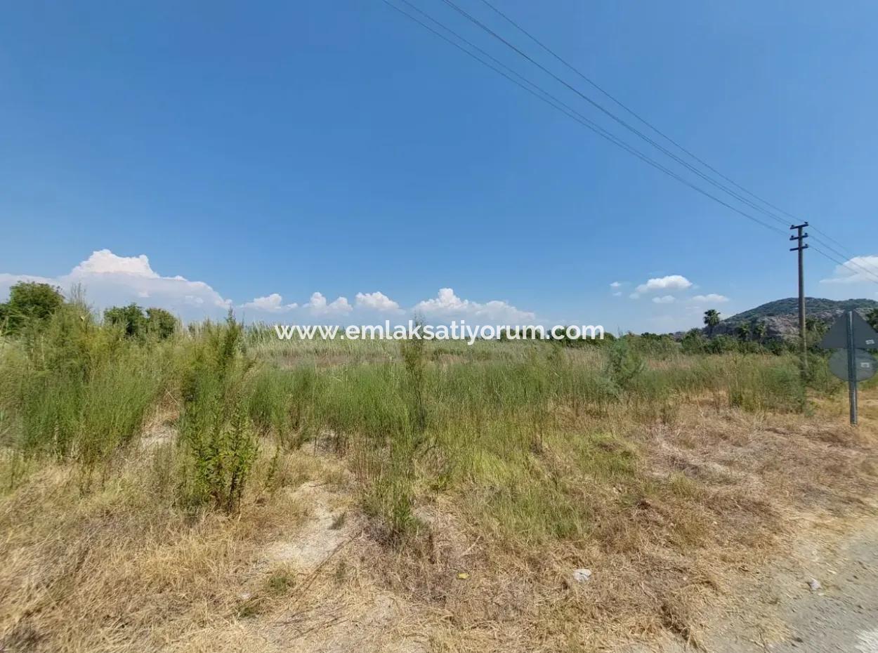Muğla Ortaca Dalyanda Kanala Yakın 7.353 M2 Müstakil Arazi Satılık