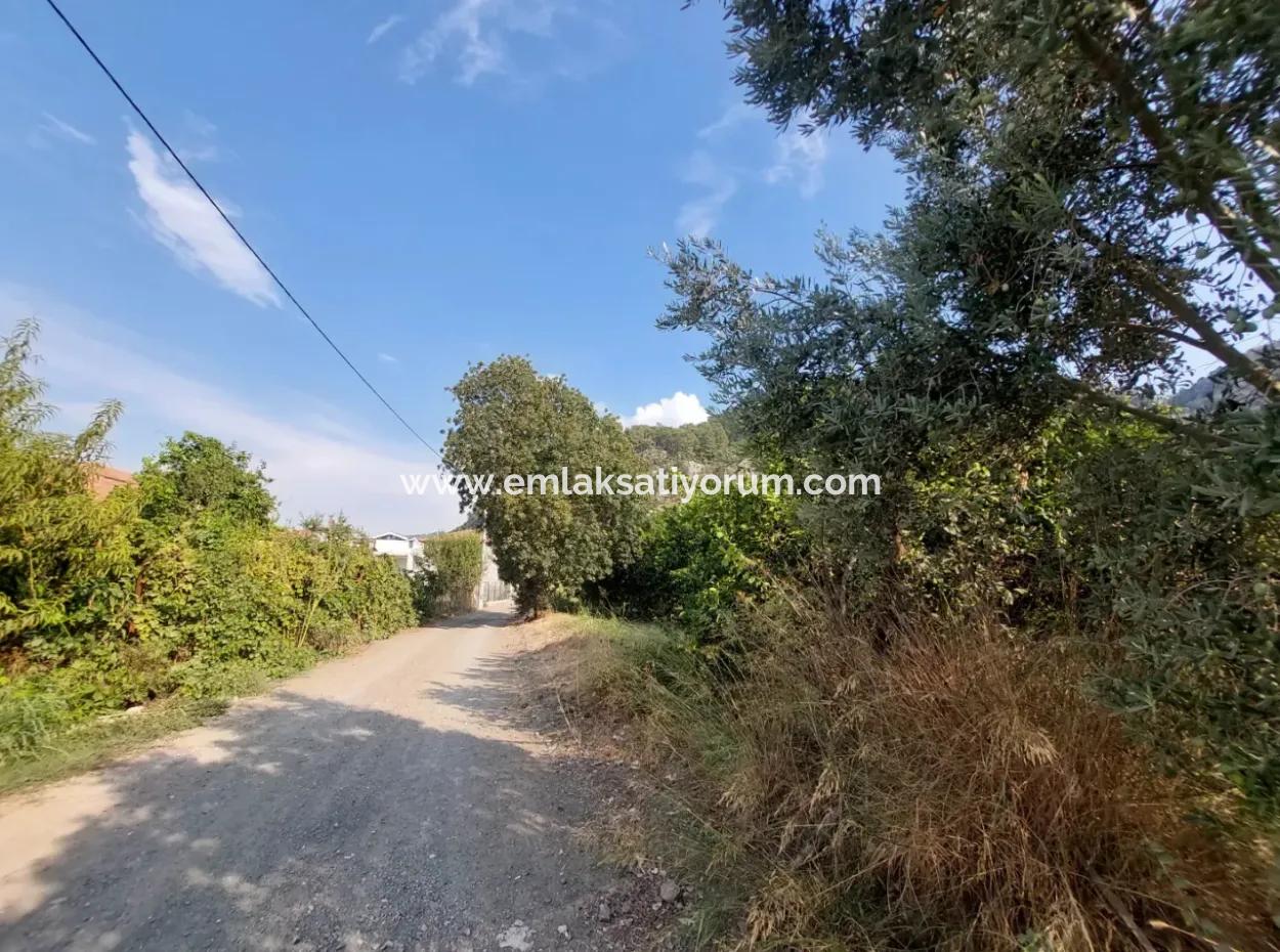 Ortaca Okçularda 1.000 M2 Arazi Satılık