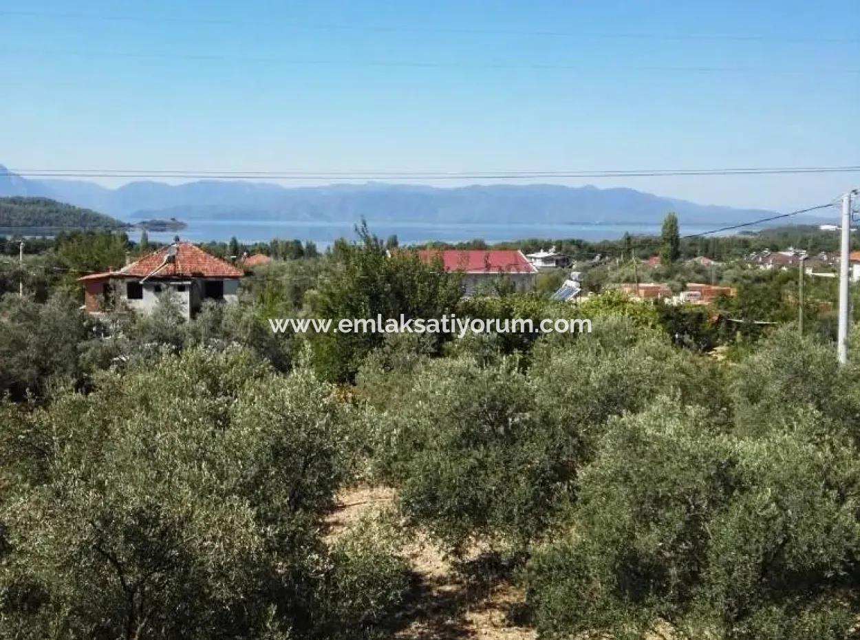 Köyceğiz Zeytinalanı Nda Satılık Müstakil Göl Manzaralı Ev