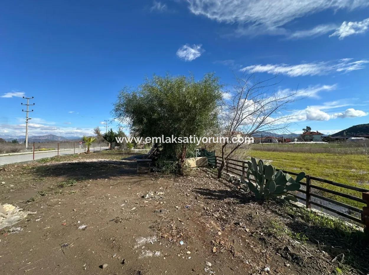 Ortaca Güzelyurtda Köşe Parsel Satılık 719 M2