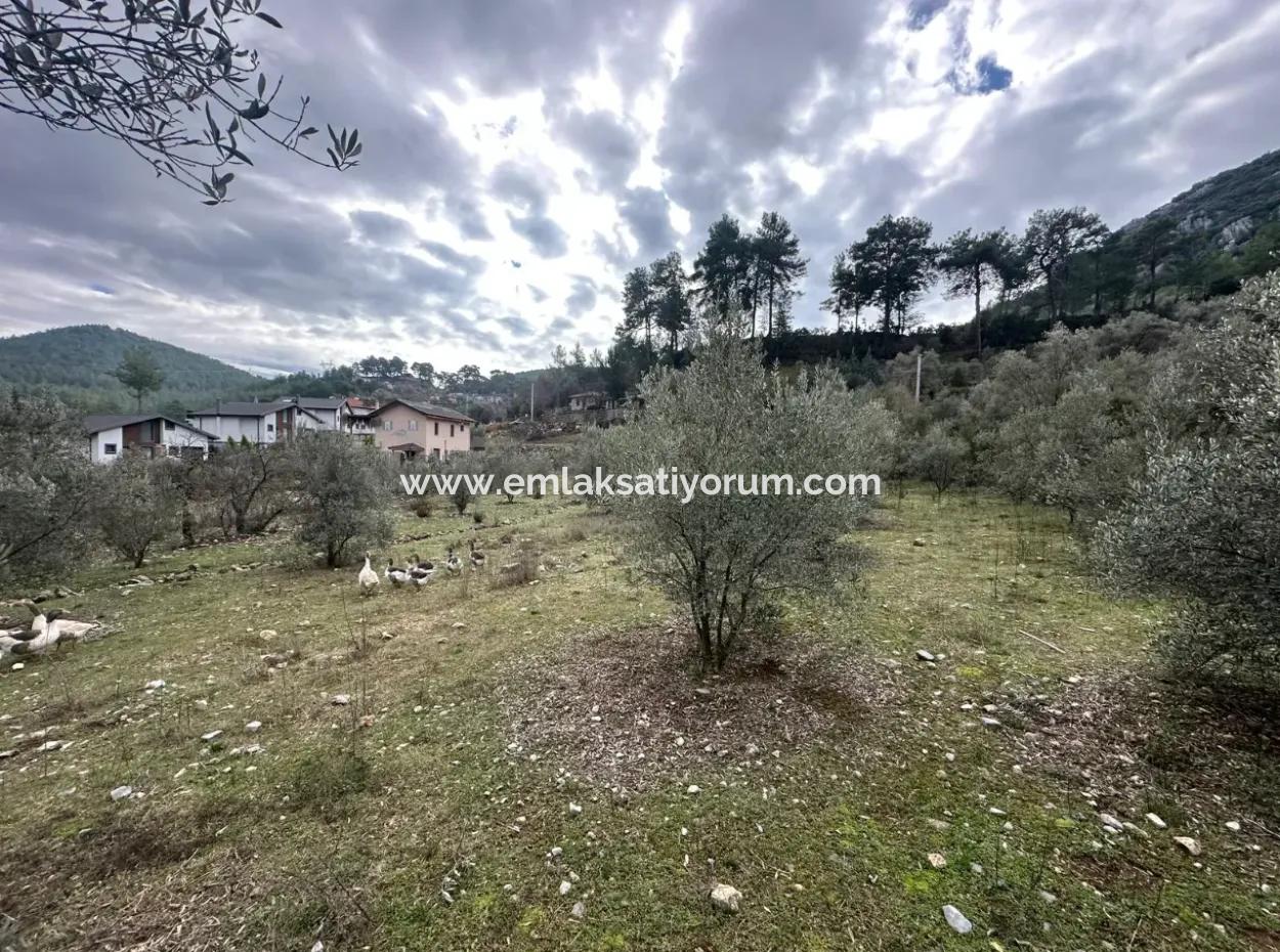 Fethiye Gökçeovacıkta Satılık 1709 M2