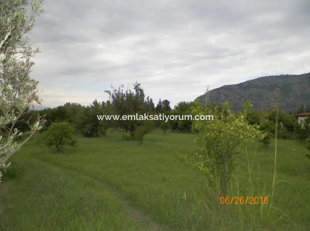 Dalyan Da Satılık Kelepir İmarlı Arsa