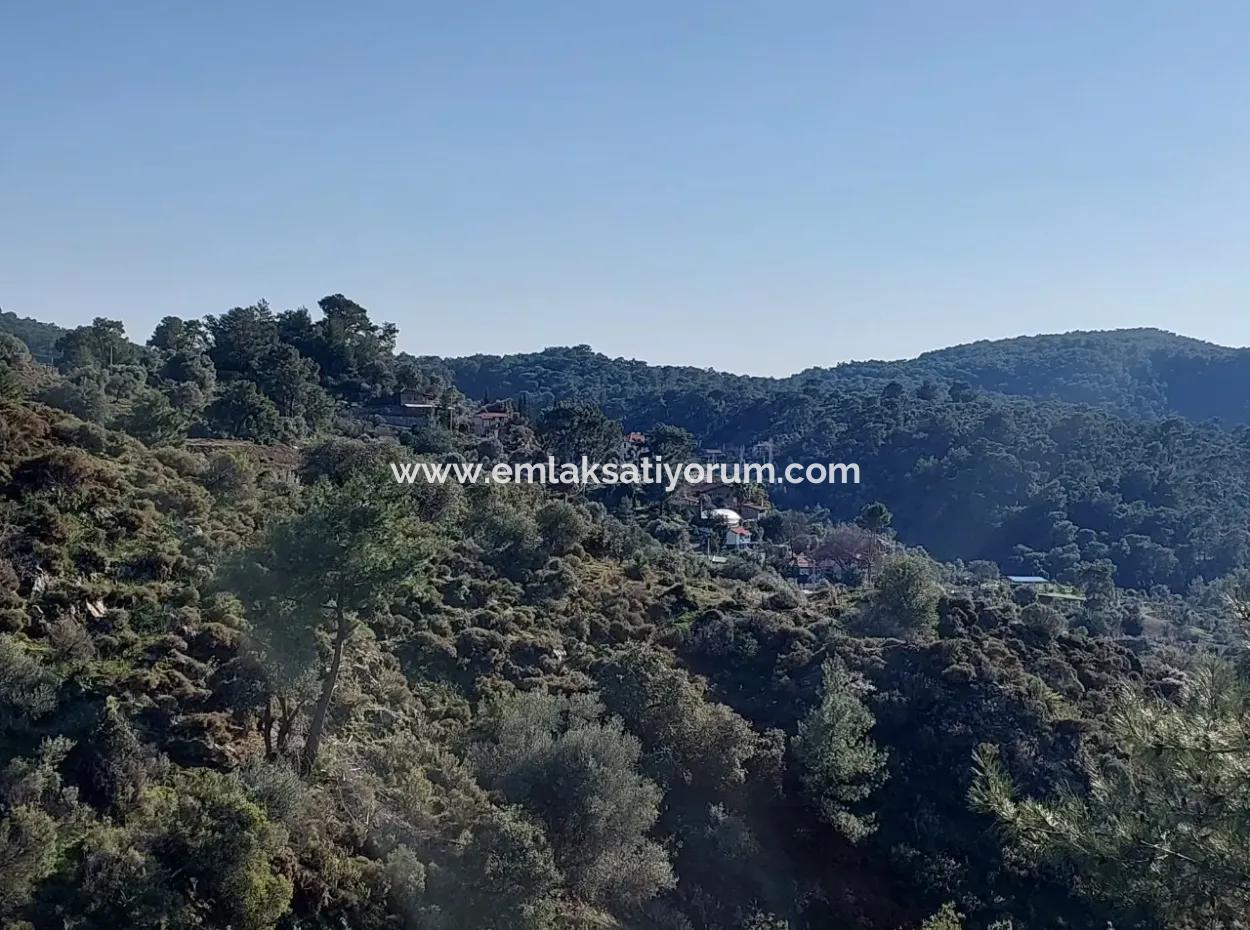 Ortaca Gökbelde Müstakil Tapulu Deniz Manzaralı 28.350 M2 Arazi Satılık