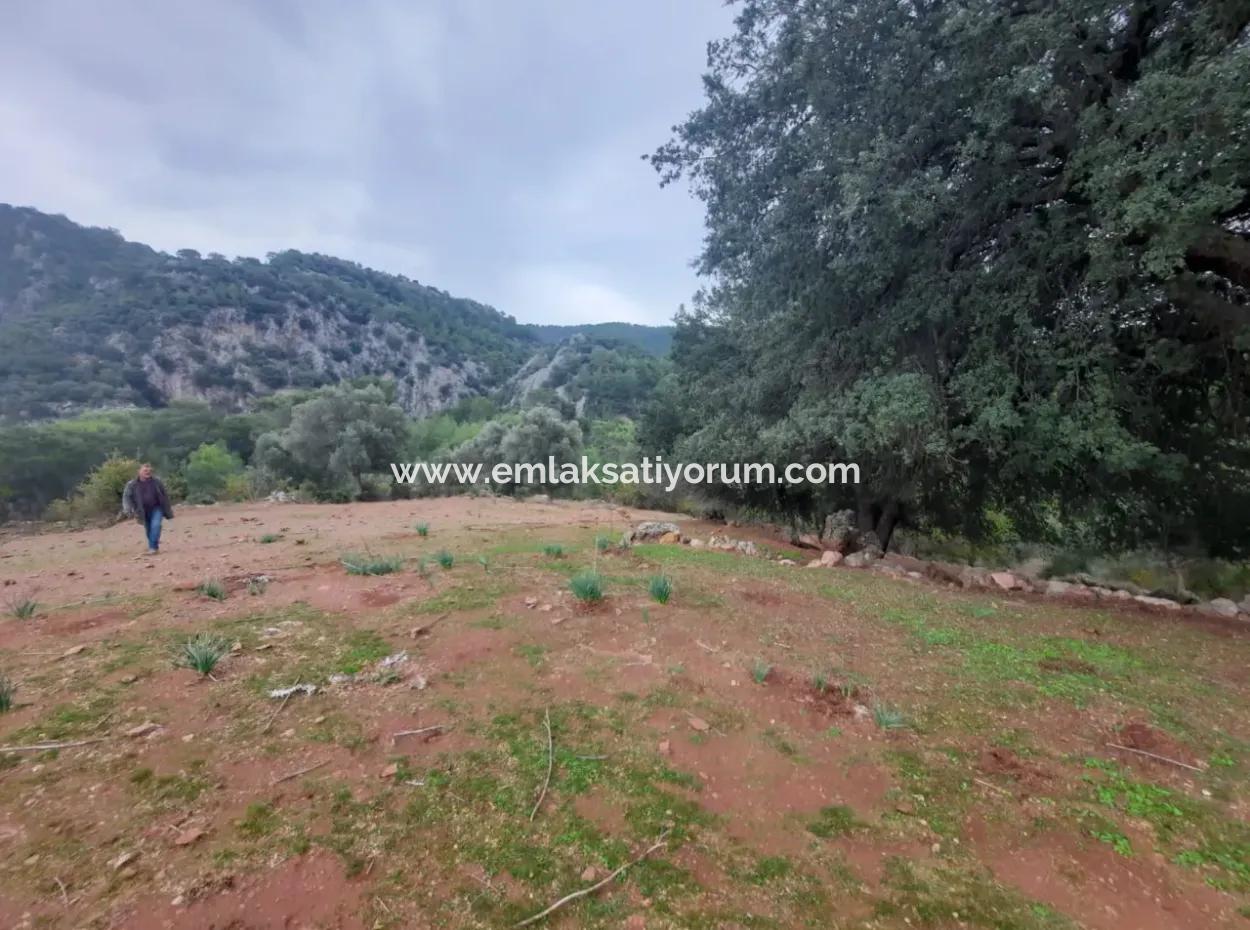 Muğla Dalyan Gökbelde Doğa İçinde 24.000 M2 Müstakil Arazi Satılık