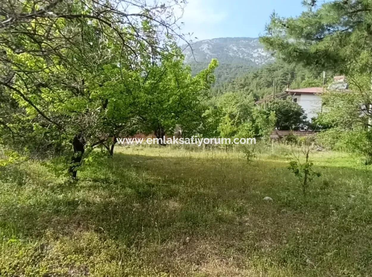 Muğla Menteşe Yaraş'ta Köy İçinde İmarlı 1228 M2 Arsa Ve Kargır Ev Satılık.   