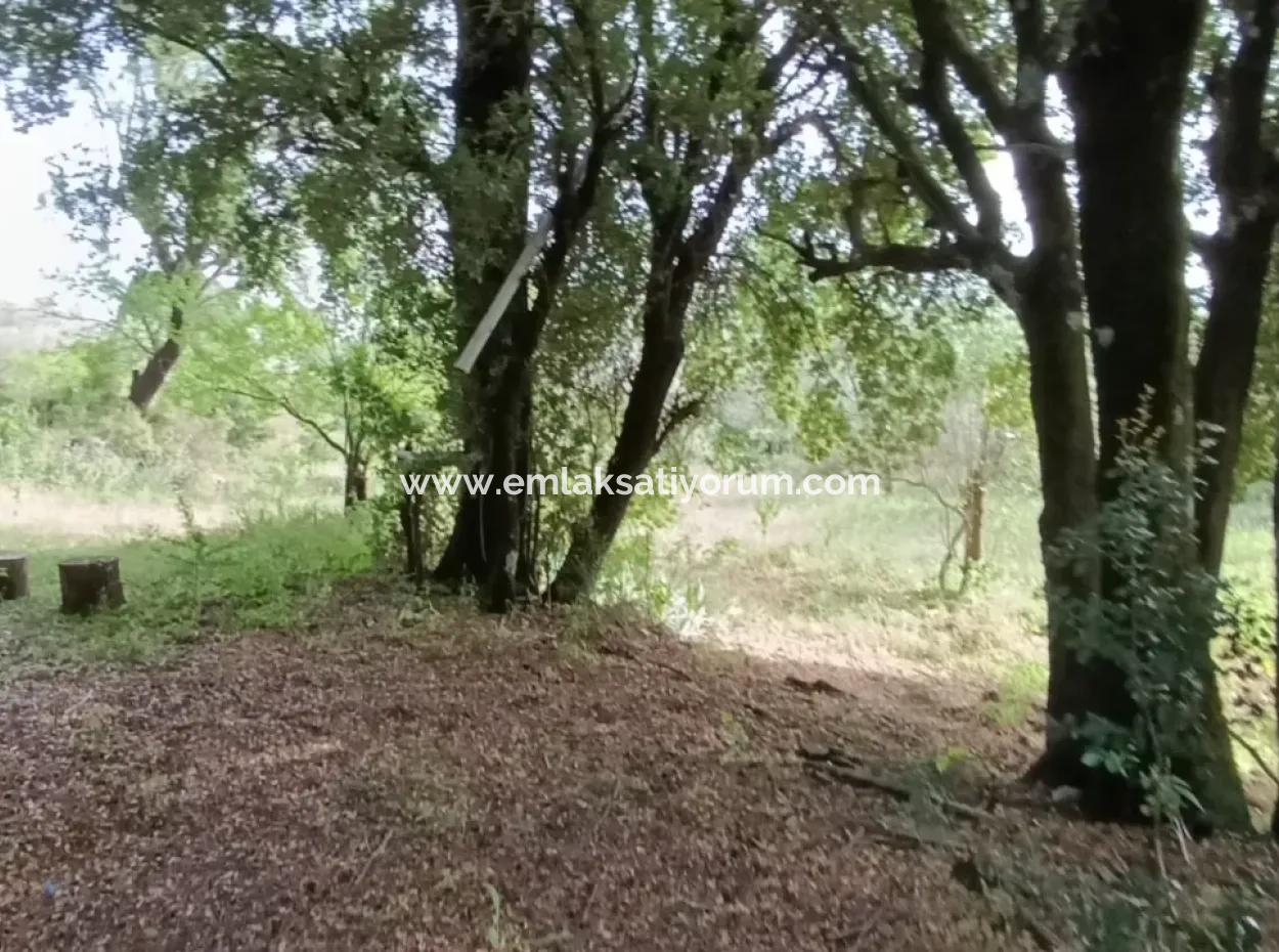 Muğla Menteşe Yaraş'ta Köy İçinde İmarlı 1228 M2 Arsa Ve Kargır Ev Satılık.   