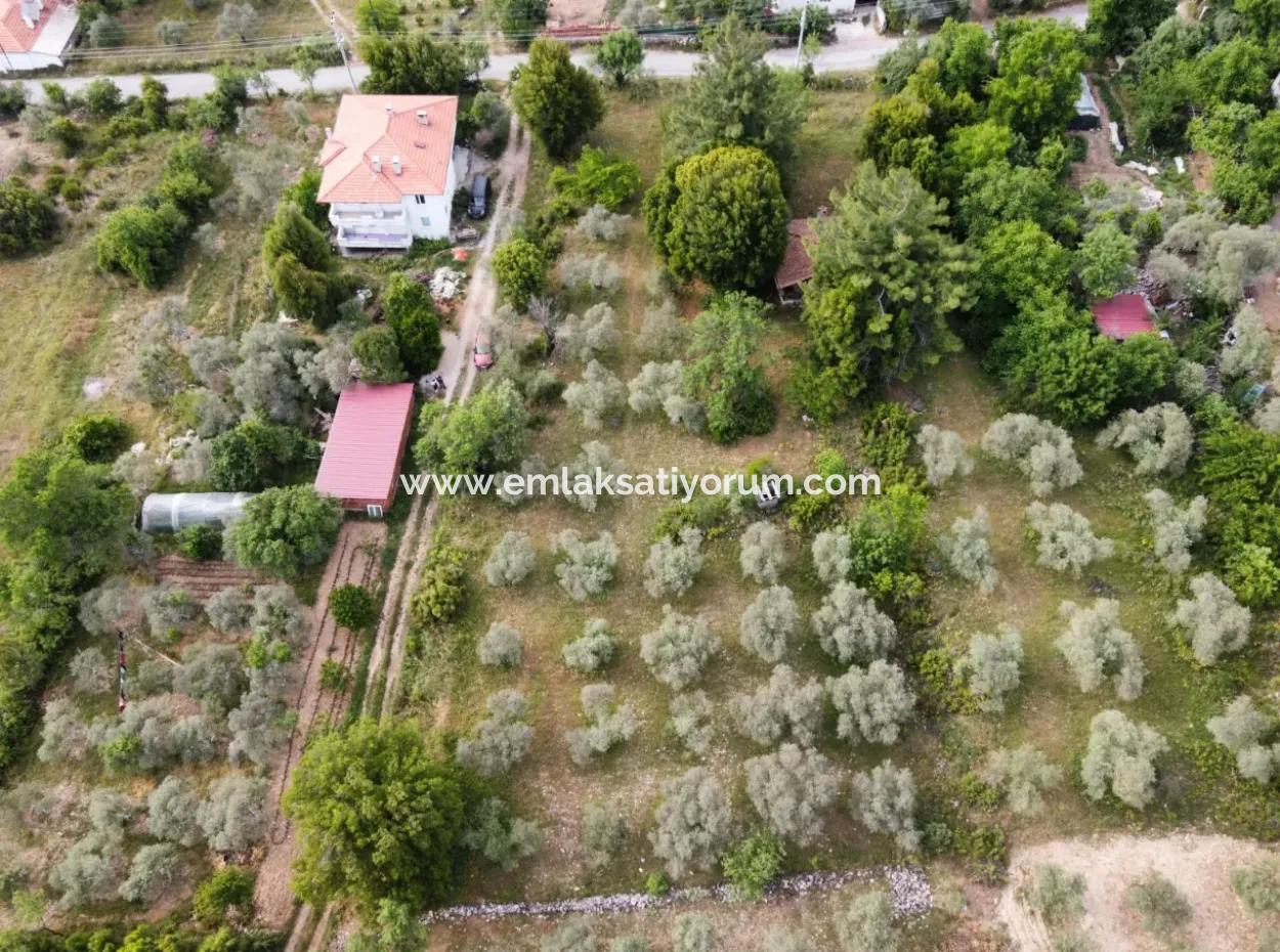 Muğla Menteşe Yaraş'ta Köy İçinde İmarlı 1228 M2 Arsa Ve Kargır Ev Satılık.   