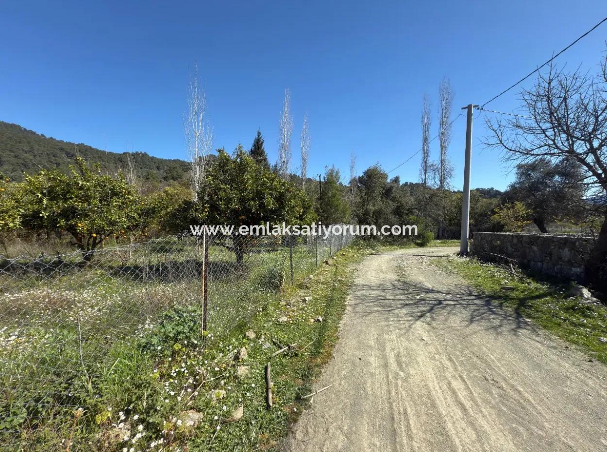 Köyceğiz Çandır'da 1000 M2 Satılık Arsa