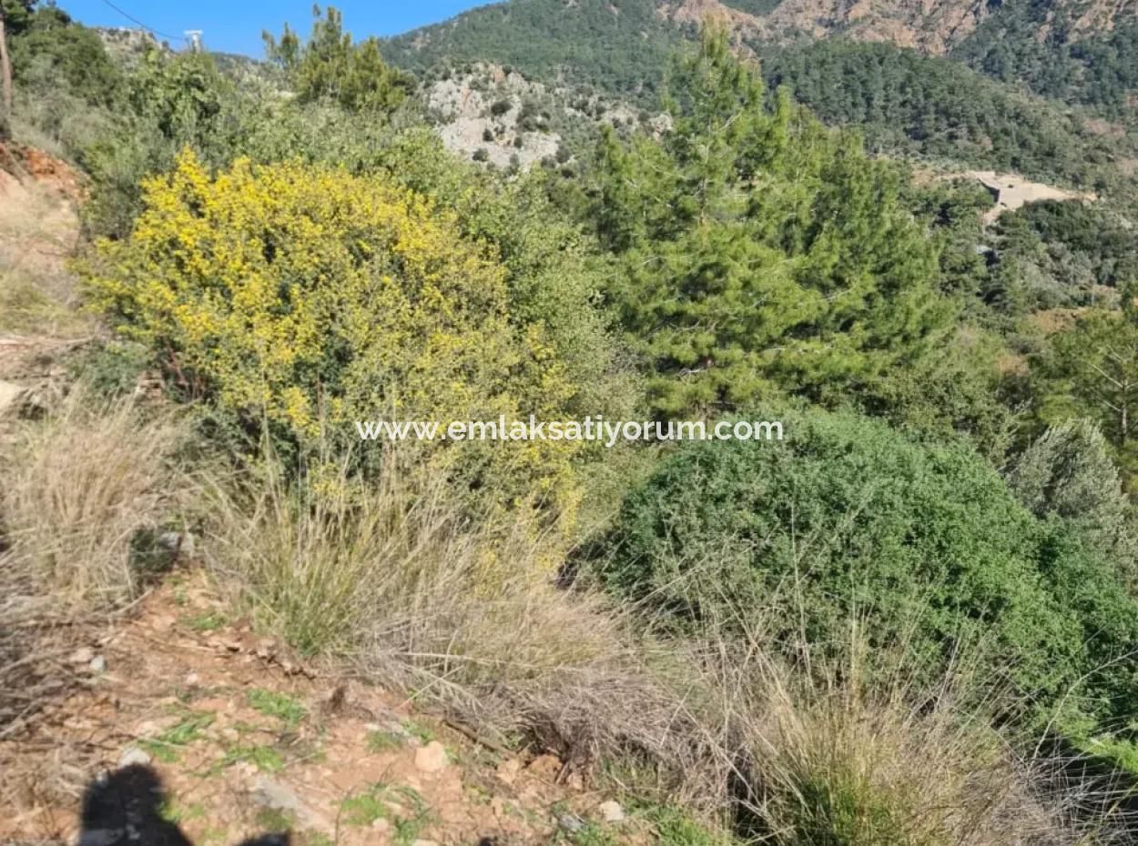 Muğla Fethiye İnlice Mahallesi Kertmeç Mevkiinde, Kısmen Deniz Manzaralı 15.000 M² Müstakil Tapulu Arazi Satılıktır.