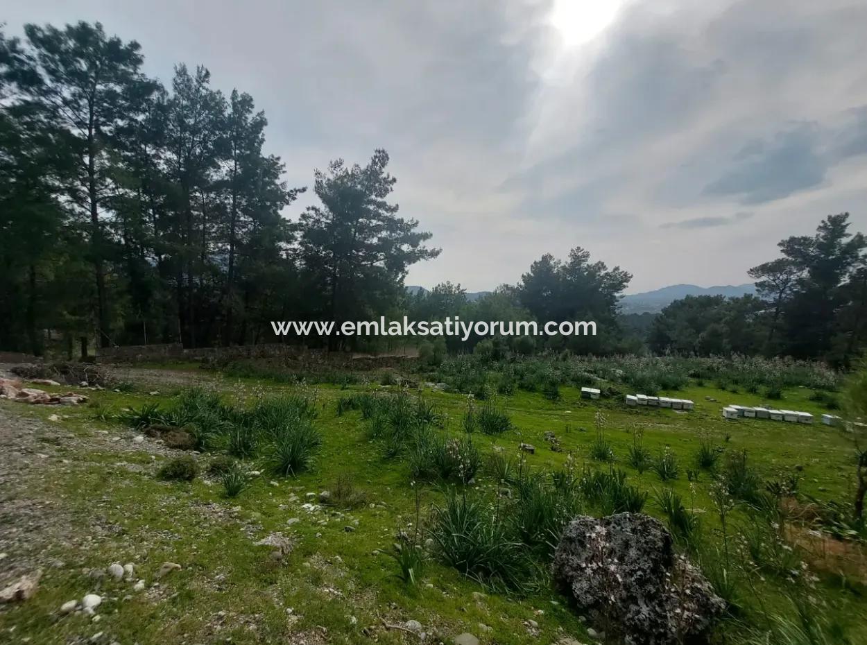 Dalaman Gürköyde 3.500 M2 Deniz Manzaralı Müstakil Arazi Satılık