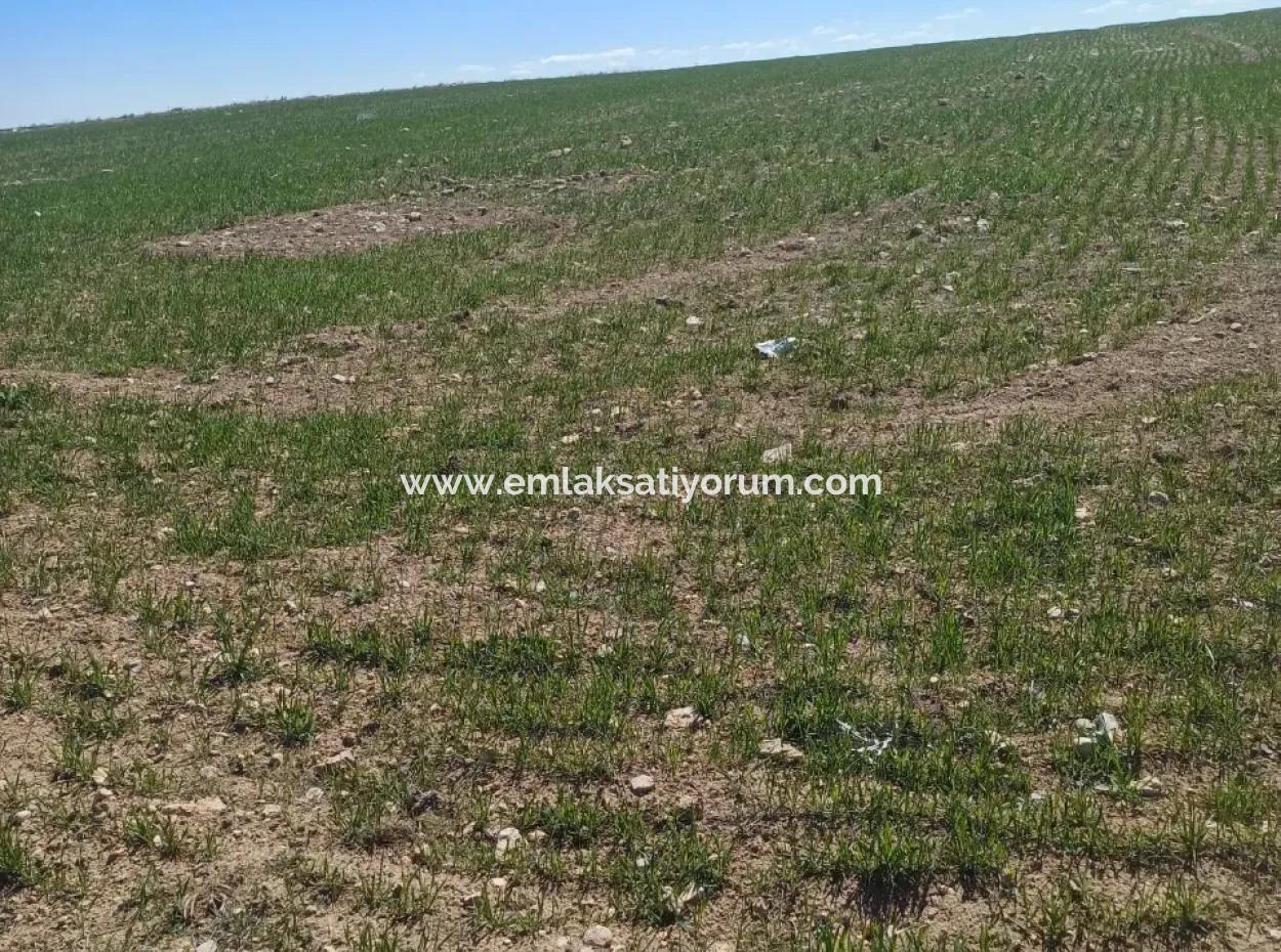 Konya Kadınhanı Başkuyu 650.000 M2 Kelepir Arazi Satılık