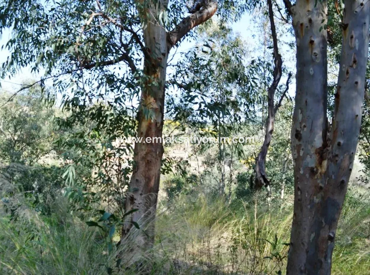 Dalaman'da Toplu Konut Yapmaya 6 165 M2, Uygun 18 Villa İmarlı Arsa Kat Karşılığı Verilecek