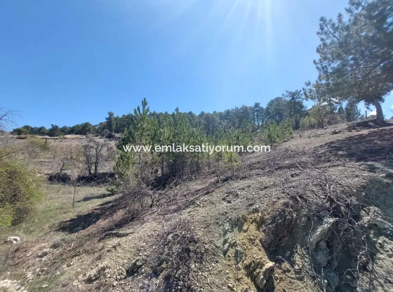 Çameli Gökçeyakada Satılık Kelepir Arazi 1 844 M2 Müstakil  Arazi Satılık.