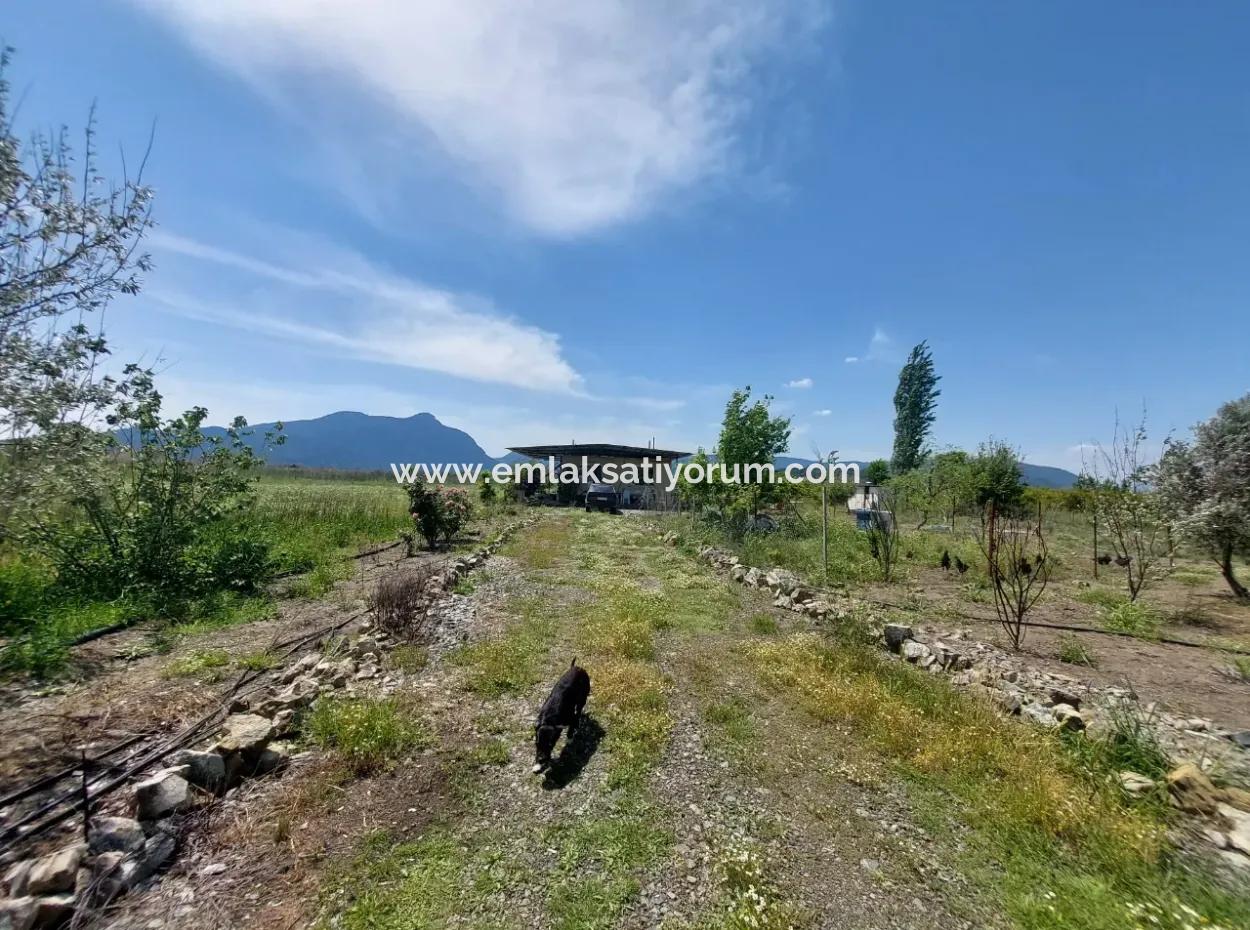 Muğla Ortaca Tepearasında Satılık Müstakil Ev Ve Arazi