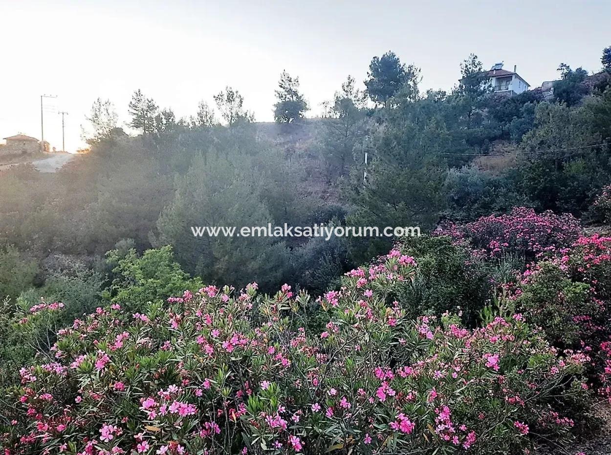 Muğla Ortaca Gökbel’de Satılık Müstakil Tapulu  238 M2 Hobi Bahçesi