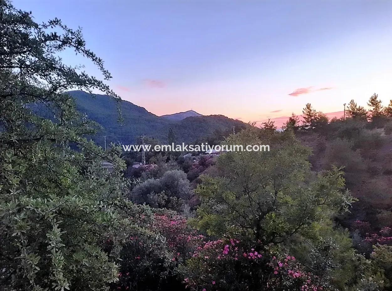 Muğla Ortaca Gökbel’de Satılık Müstakil Tapulu  238 M2 Hobi Bahçesi