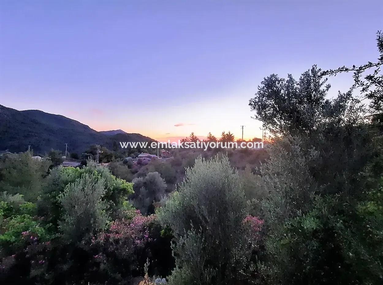 Muğla Ortaca Gökbel’de Satılık Müstakil Tapulu  238 M2 Hobi Bahçesi